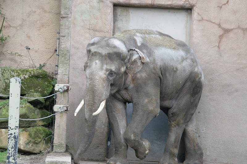 Fotoclubje Blijdorp 2008-35.jpg